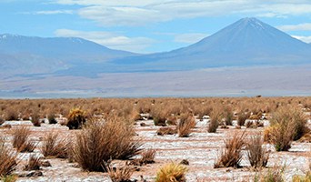 San Pedro de Atacama Uyuni Tours