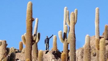 Isla Incahuasi Salar de Uyuni