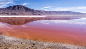 Laguna Colorada: Bolivia's Lake" | Salar De