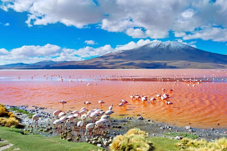 Onde Fica o Salar de Uyuni - Laguna Colorida